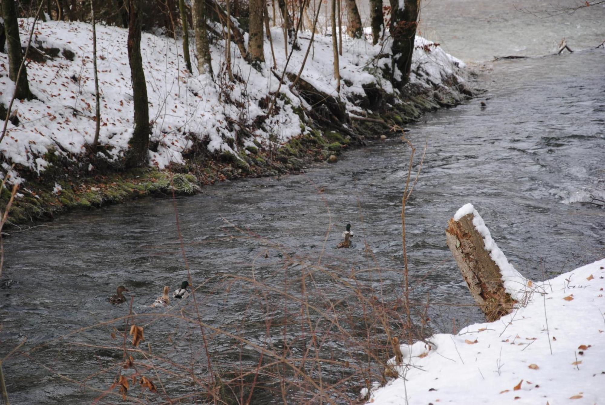 Gaestehaus Schroeder Ruhpolding Luaran gambar
