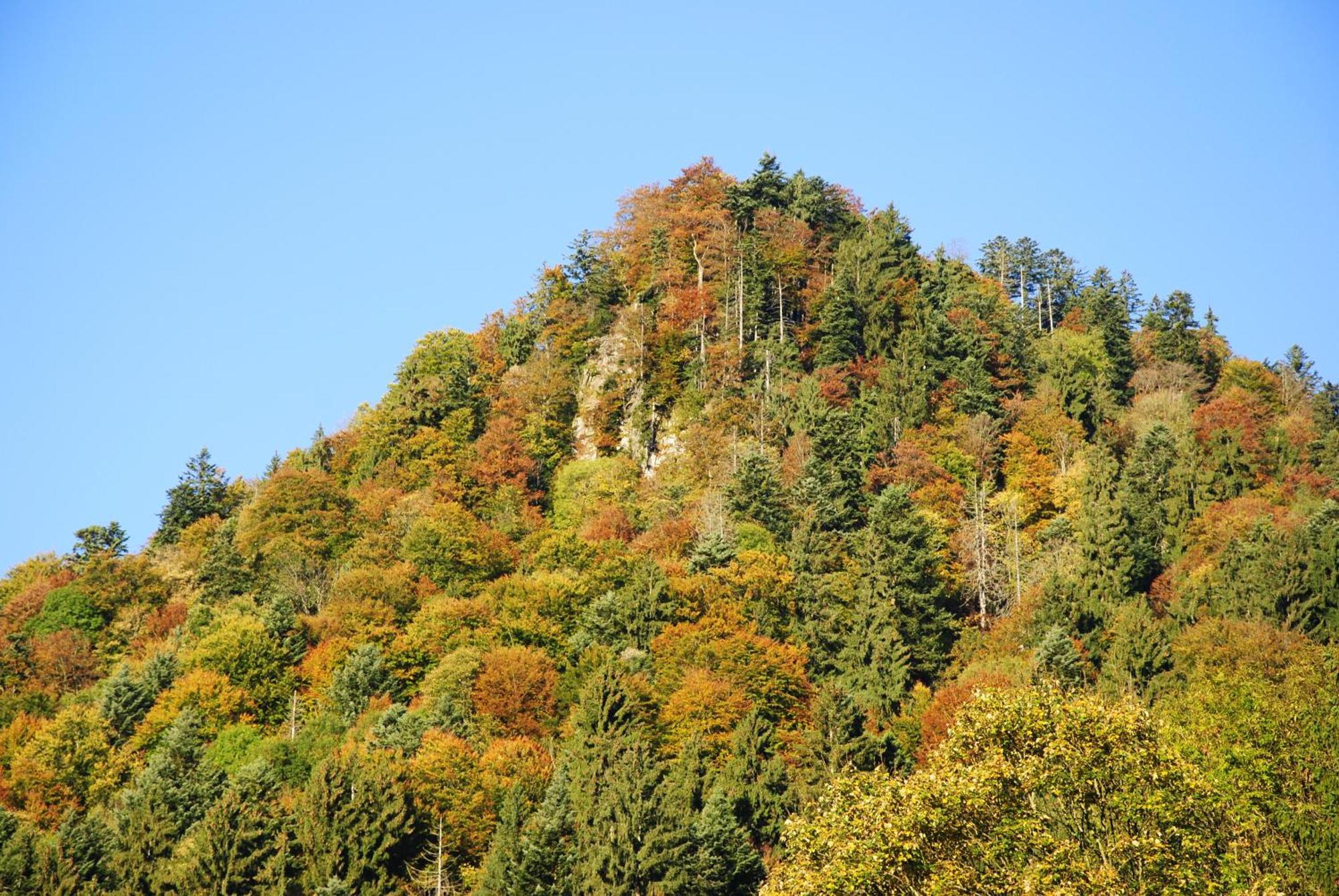 Gaestehaus Schroeder Ruhpolding Luaran gambar